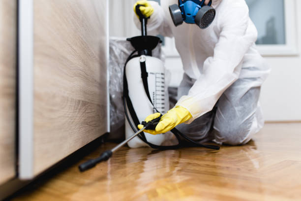 Best Affordable Pest Control Services  in Foresthill, CA