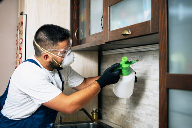 Best Affordable Pest Control Services  in Foresthill, CA