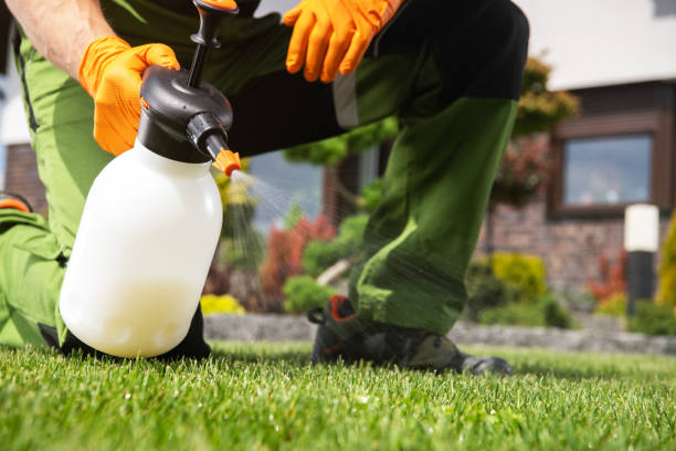 Best Pest Inspection Near Me  in Foresthill, CA