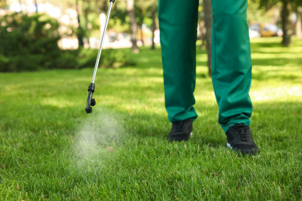 Best Local Pest Control Services  in Foresthill, CA