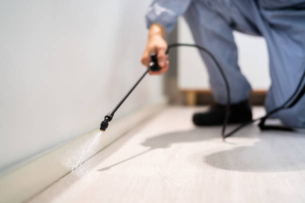 Best Local Pest Control Services  in Foresthill, CA