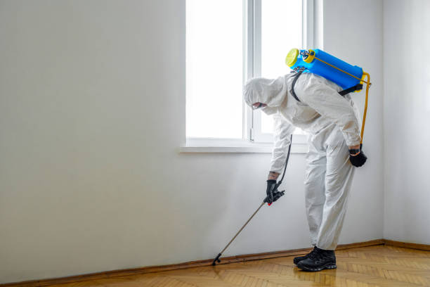 Best Best Pest Control Companies  in Foresthill, CA