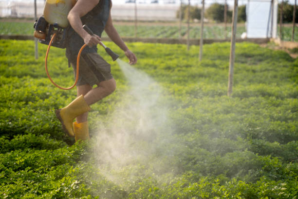 Best Pest Control Near Me  in Foresthill, CA