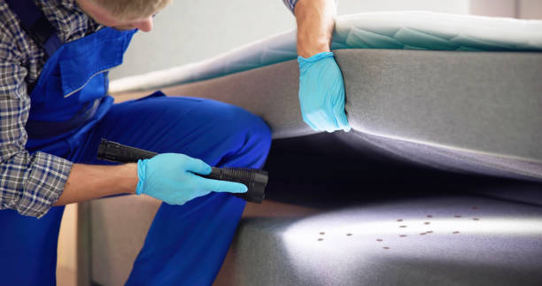 Best Pest Inspection Near Me  in Foresthill, CA