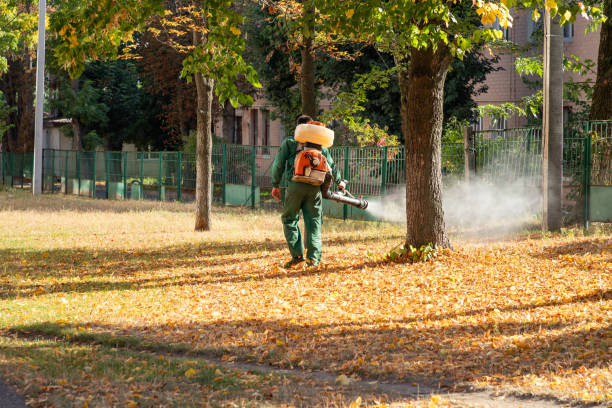 Best Pest Control Near Me  in Foresthill, CA
