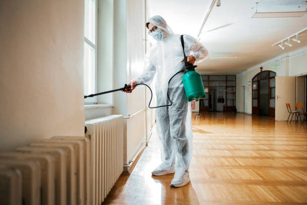 Best Ant Control Services  in Foresthill, CA