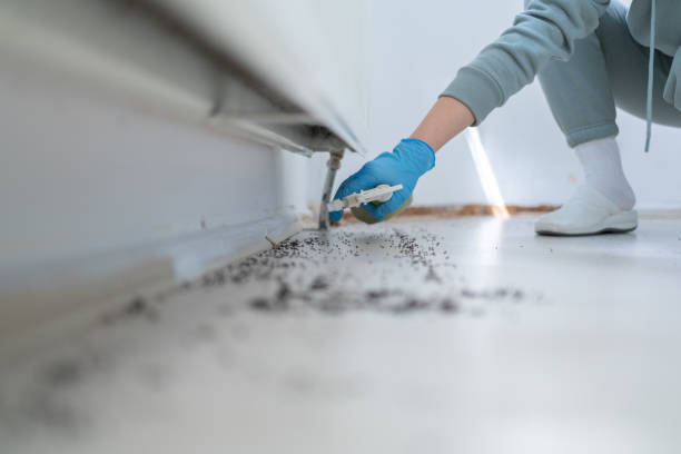 Best Commercial Pest Control Services  in Foresthill, CA
